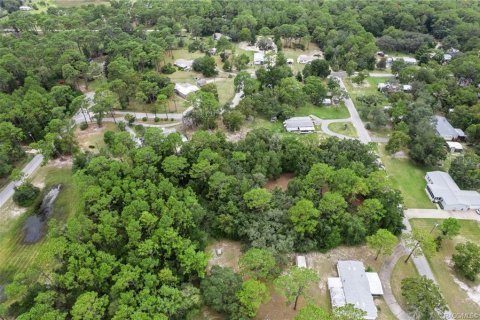 Terrain à vendre à Homosassa, Floride № 1908227 - photo 4