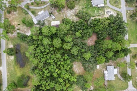 Terrain à vendre à Homosassa, Floride № 1908227 - photo 14