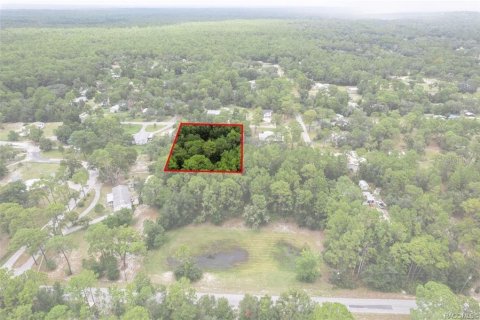 Terrain à vendre à Homosassa, Floride № 1908227 - photo 8