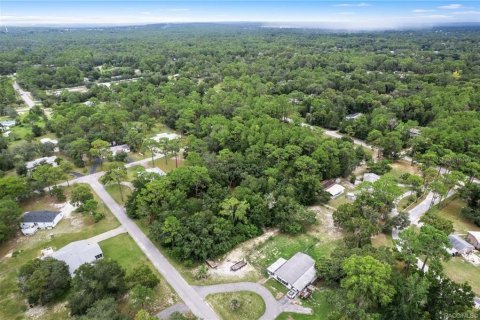 Terrain à vendre à Homosassa, Floride № 1908227 - photo 11