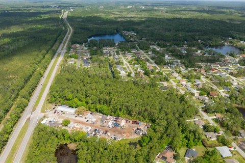 Propiedad comercial en venta en Bunnell, Florida № 1338040 - foto 8