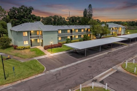 Condo in Oldsmar, Florida, 2 bedrooms  № 2360643