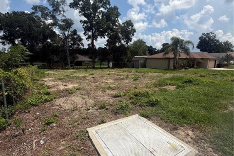 Land in Summerfield, Florida № 2220720