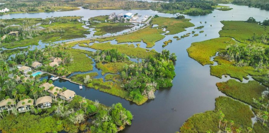 Condo in Crystal River, Florida, 1 bedroom № 1686728