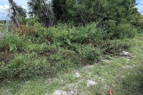 Land in Spring Hill, Florida № 1913763 - photo 5