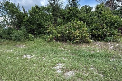 Land in Spring Hill, Florida № 1913763 - photo 3