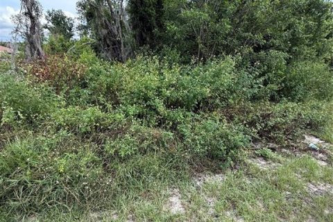 Land in Spring Hill, Florida № 1913763 - photo 4