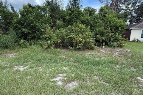 Land in Spring Hill, Florida № 1913763 - photo 2