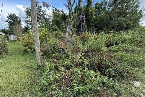 Land in Spring Hill, Florida № 1913763 - photo 6