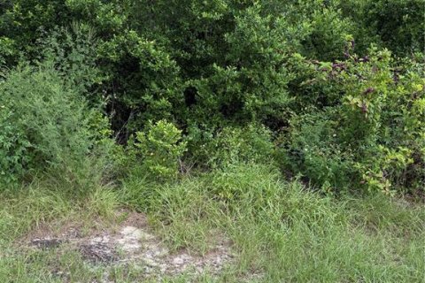 Land in Spring Hill, Florida № 1913763 - photo 1