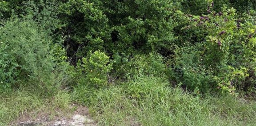 Terrain à Spring Hill, Floride № 1913763