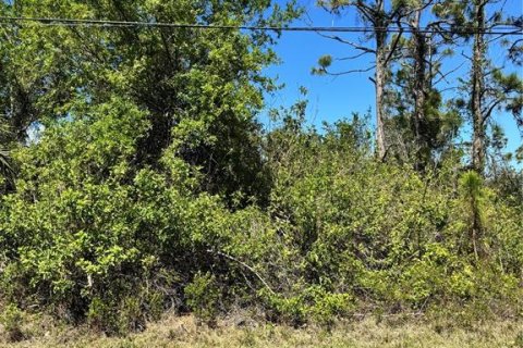 Land in Port Charlotte, Florida № 2163820