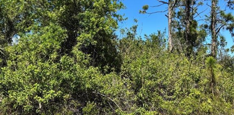 Land in Port Charlotte, Florida № 2163820