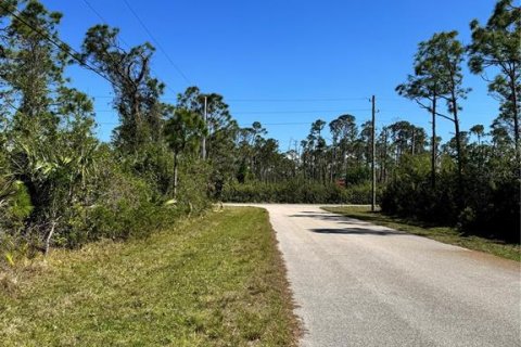 Land in Port Charlotte, Florida № 2163820 - photo 2