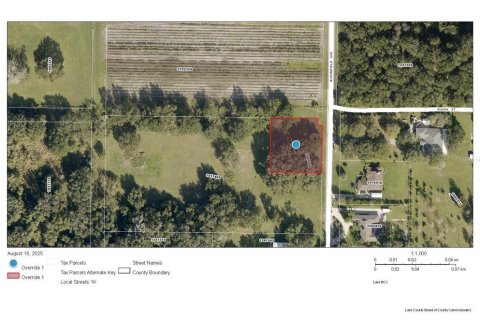 Terreno en venta en Yalaha, Florida № 1918797 - foto 7