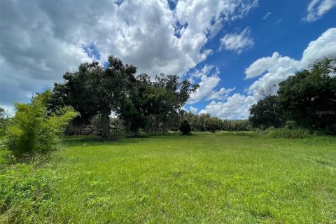 Terreno en venta en Yalaha, Florida № 1918797 - foto 1