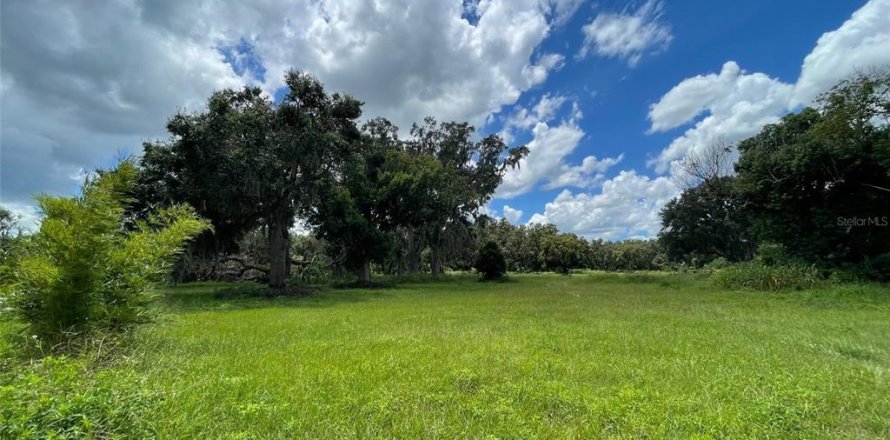Terreno en Yalaha, Florida № 1918797