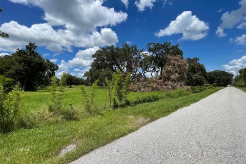 Terreno en venta en Yalaha, Florida № 1918797 - foto 3