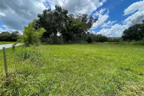 Terreno en venta en Yalaha, Florida № 1918797 - foto 5