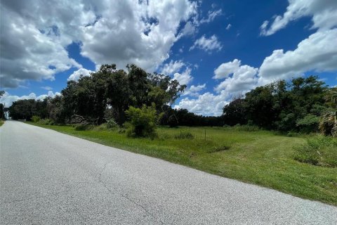Terreno en venta en Yalaha, Florida № 1918797 - foto 4