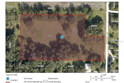 Terreno en venta en Yalaha, Florida № 1918797 - foto 6
