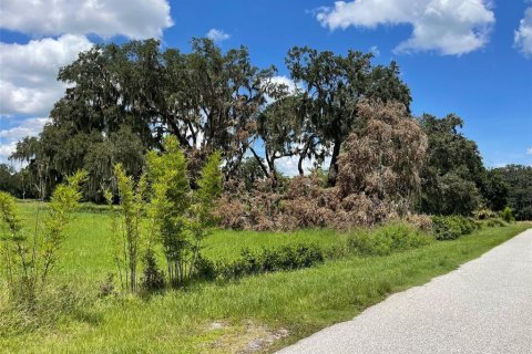 Terreno en venta en Yalaha, Florida № 1918797 - foto 2