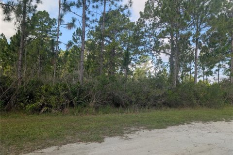 Land in Indian lake estates, Florida № 2203509 - photo 3