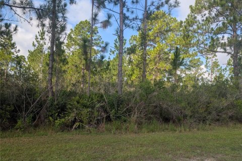 Terrain à Indian lake estates, Floride № 2203509