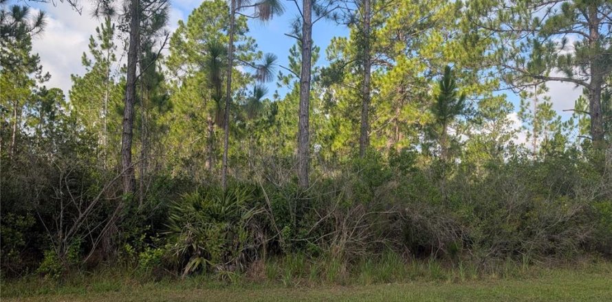 Land in Indian lake estates, Florida № 2203509