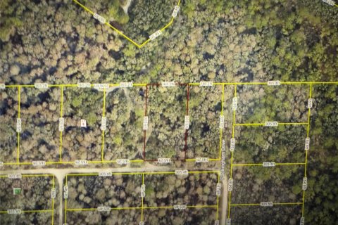 Land in Webster, Florida № 2224215