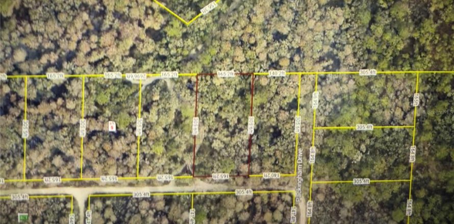 Land in Webster, Florida № 2224215
