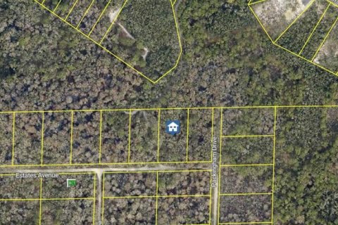 Land in Webster, Florida № 2224215 - photo 2