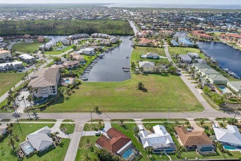 Terrain à Punta Gorda, Floride № 2092043
