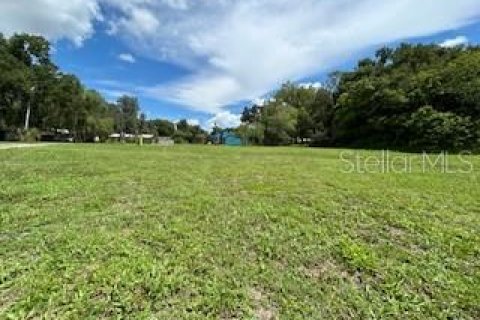 Land in Webster, Florida № 2298681