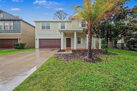 House in Riverview, Florida 4 bedrooms, 323.58 sq.m. № 2224877