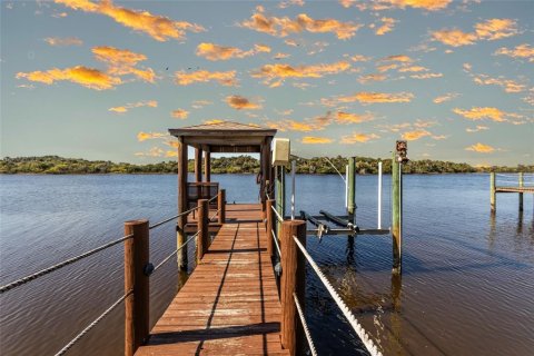 Casa en alquiler en Ormond Beach, Florida, 4 dormitorios, 374.58 m2 № 1833150 - foto 4