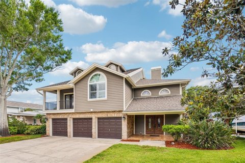 House in Palm Harbor, Florida 5 bedrooms, 417.69 sq.m. № 2095581
