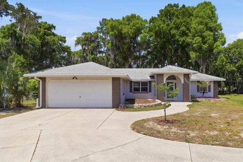 Villa ou maison à Crystal River, Floride 3 chambres, 132.2 m2 № 2092523