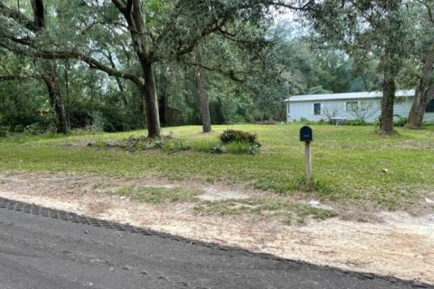 Land in Middleburg, Florida № 801685 - photo 1