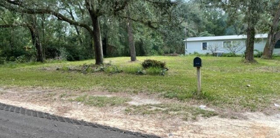Land in Middleburg, Florida № 801685