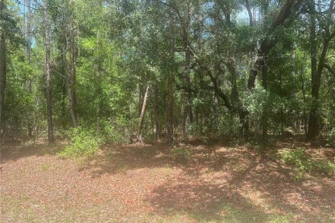 Terrain à Dunnellon, Floride № 2166625
