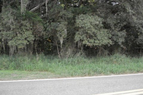 Terreno en venta en Frostproof, Florida № 214428 - foto 4