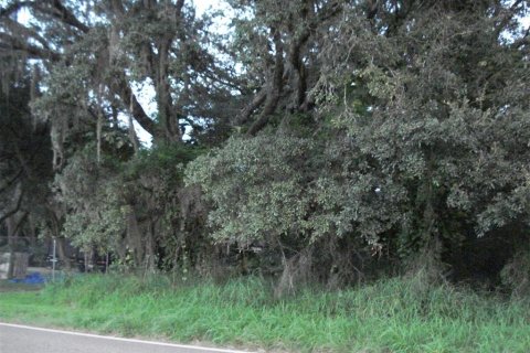 Terreno en venta en Frostproof, Florida № 214428 - foto 2