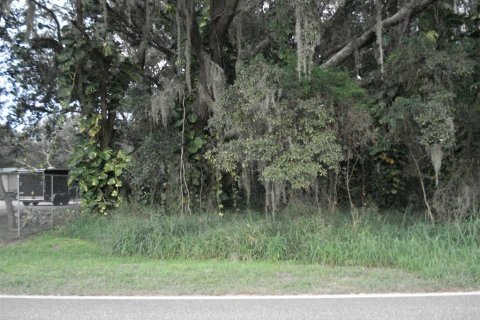 Terreno en venta en Frostproof, Florida № 214428 - foto 5