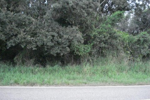 Terreno en venta en Frostproof, Florida № 214428 - foto 3