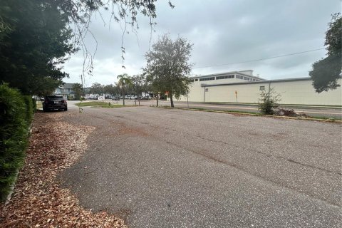 Land in Saint Petersburg, Florida № 1403708 - photo 9
