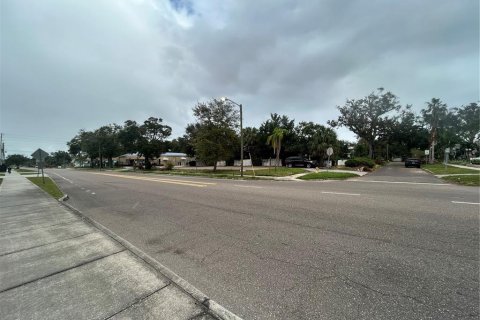 Land in Saint Petersburg, Florida № 1403708 - photo 14