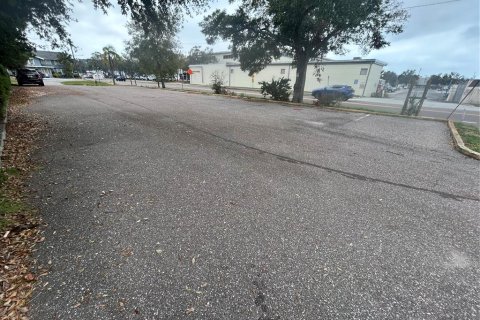 Land in Saint Petersburg, Florida № 1403708 - photo 8