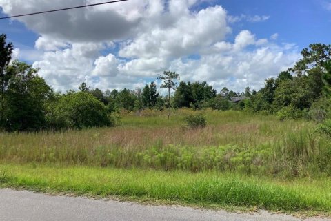 Land in Orlando, Florida № 2364258