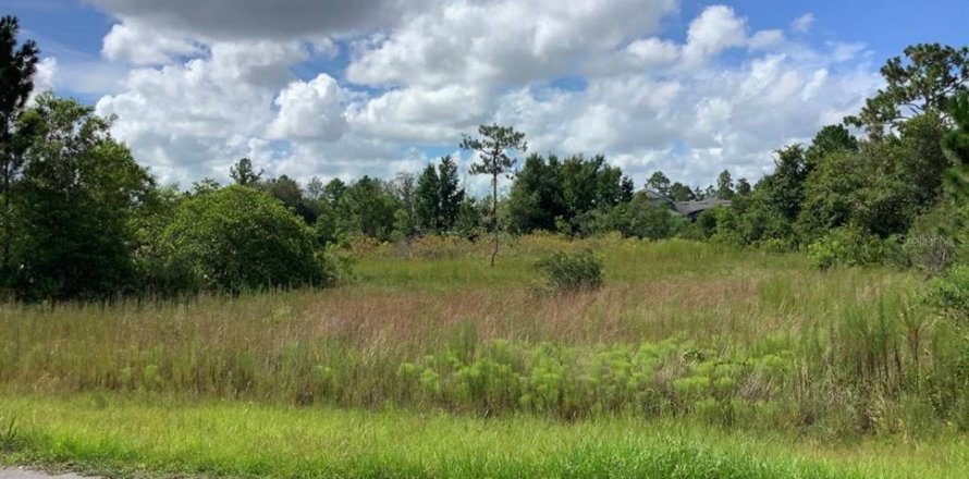 Land in Orlando, Florida № 2364258